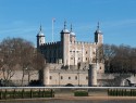 The Tower